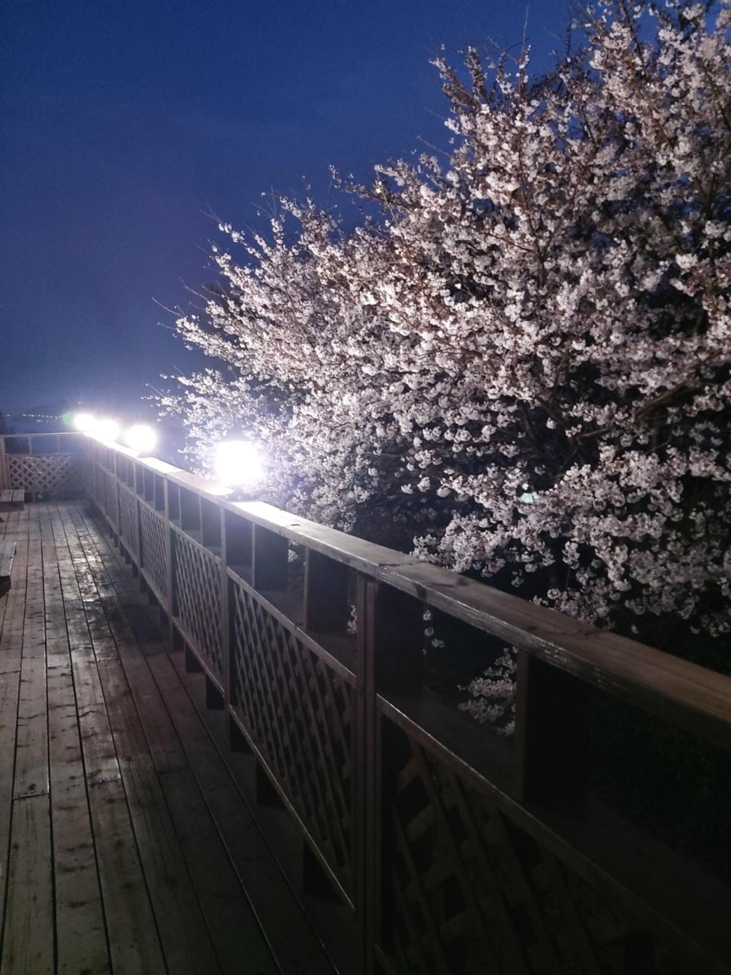 Hotel White House Namhae Exterior foto